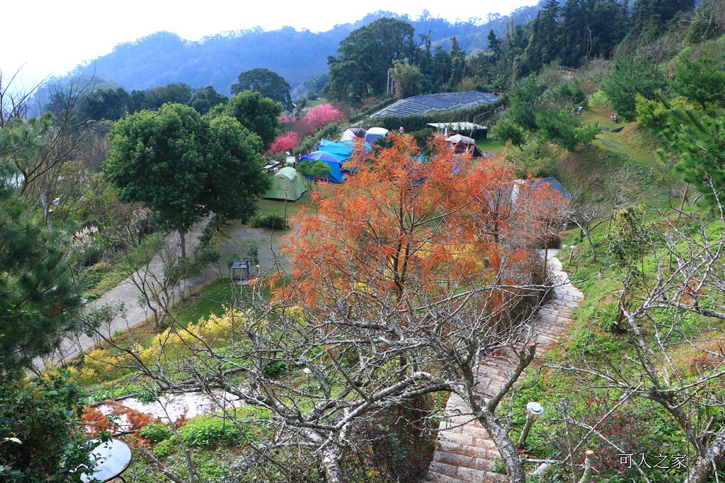 苗栗大湖草莓 餐廳 民宿,苗栗景觀餐廳可露營賞雲海,草莓火鍋