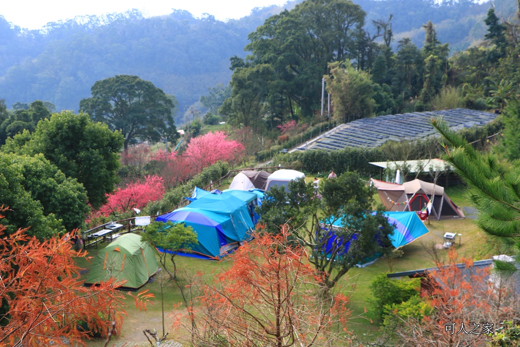 苗栗大湖草莓 餐廳 民宿,苗栗景觀餐廳可露營賞雲海,草莓火鍋 @可人之家