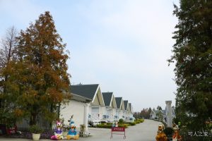 IMG_7779 @可人之家 @可人之家