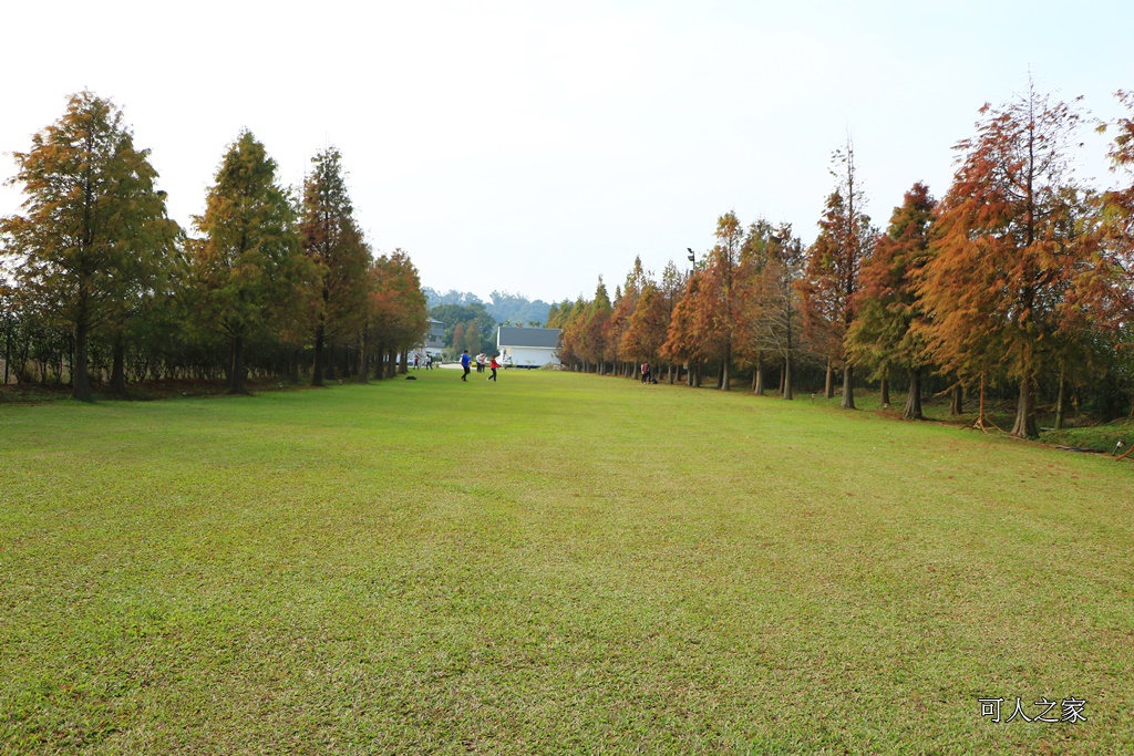 嘉義一日遊,嘉義新景點,嘉義民雄景點,嘉義花燈順遊景點,嘉義落雨松,悅來居莊園