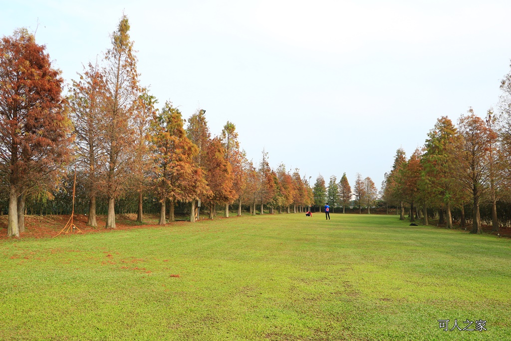 嘉義一日遊,嘉義新景點,嘉義民雄景點,嘉義花燈順遊景點,嘉義落雨松,悅來居莊園