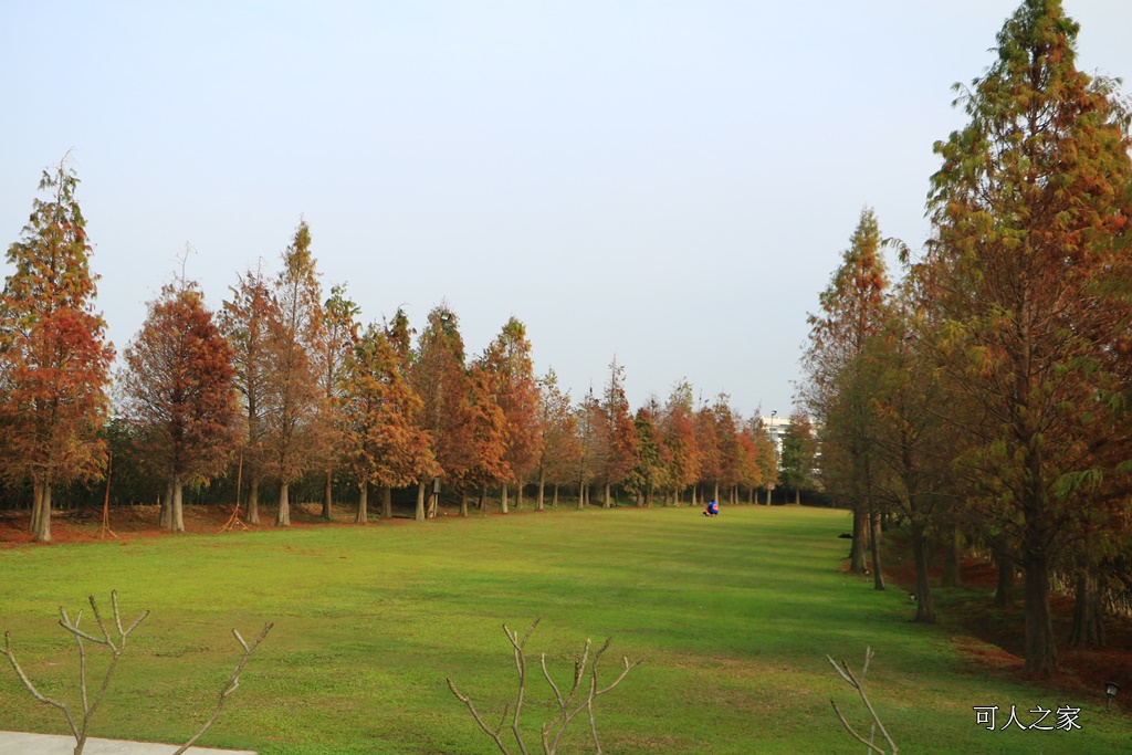 嘉義一日遊,嘉義新景點,嘉義民雄景點,嘉義花燈順遊景點,嘉義落雨松,悅來居莊園