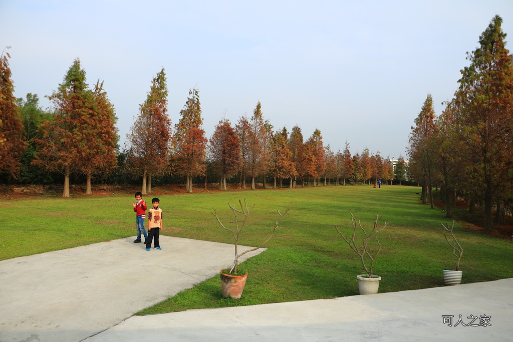 嘉義一日遊,嘉義新景點,嘉義民雄景點,嘉義花燈順遊景點,嘉義落雨松,悅來居莊園