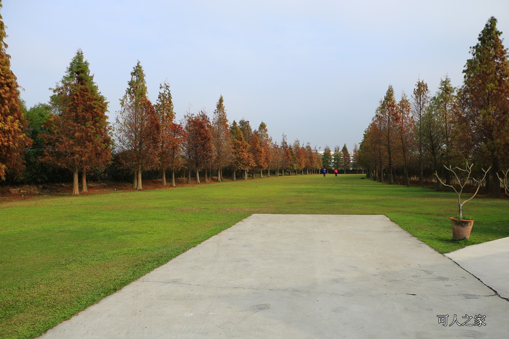 嘉義一日遊,嘉義新景點,嘉義民雄景點,嘉義花燈順遊景點,嘉義落雨松,悅來居莊園