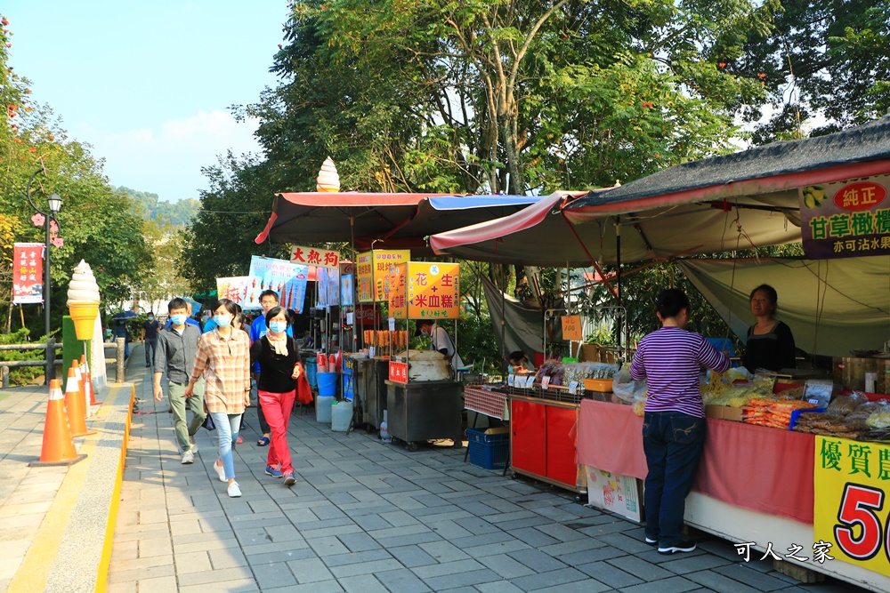 全家出遊踏青,嘉義景點,季節性花景,梅山公園,梅山梅花,賞梅景點