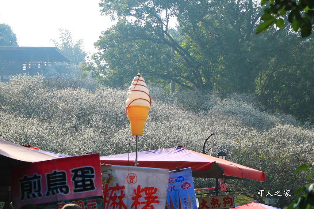 全家出遊踏青,嘉義景點,季節性花景,梅山公園,梅山梅花,賞梅景點