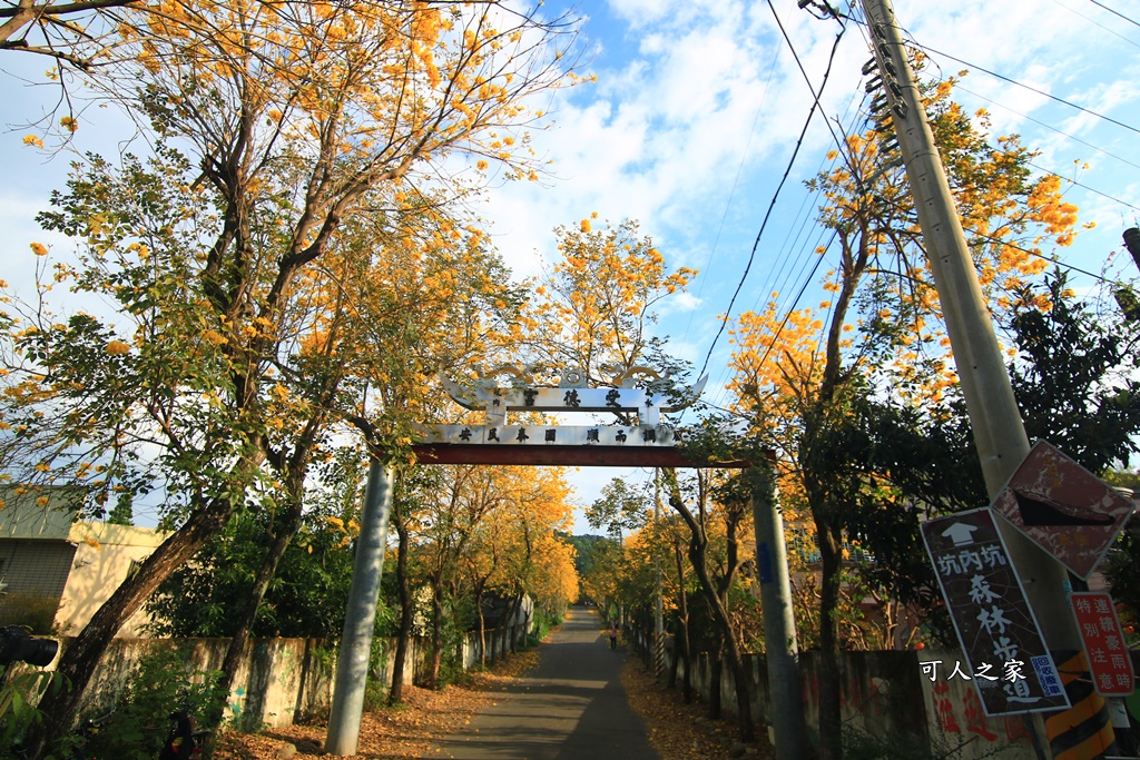 一日遊,二水鄉,彰化縣,旅遊,泡湯,火車,爬山,社頭,親子遊,豐伯廣場,附近景點,黃金隧道