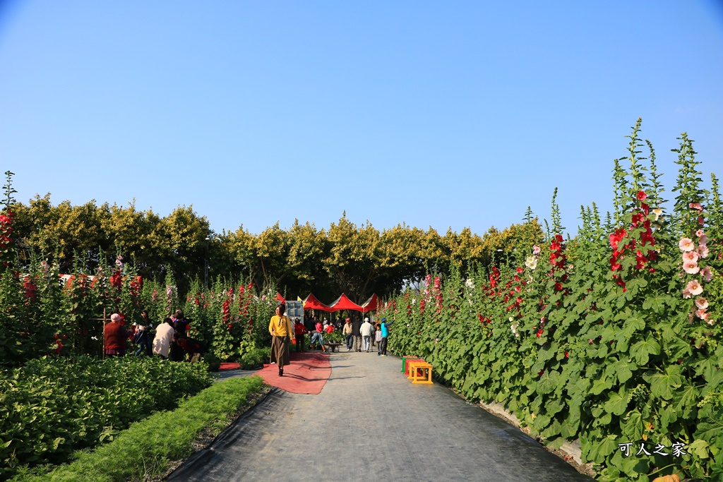 2018蜀葵花,南區公園,彰化一日遊,彰化員林蜀葵花,琉璃仙境收費價格,琉璃仙境改為收費,遊樂設施