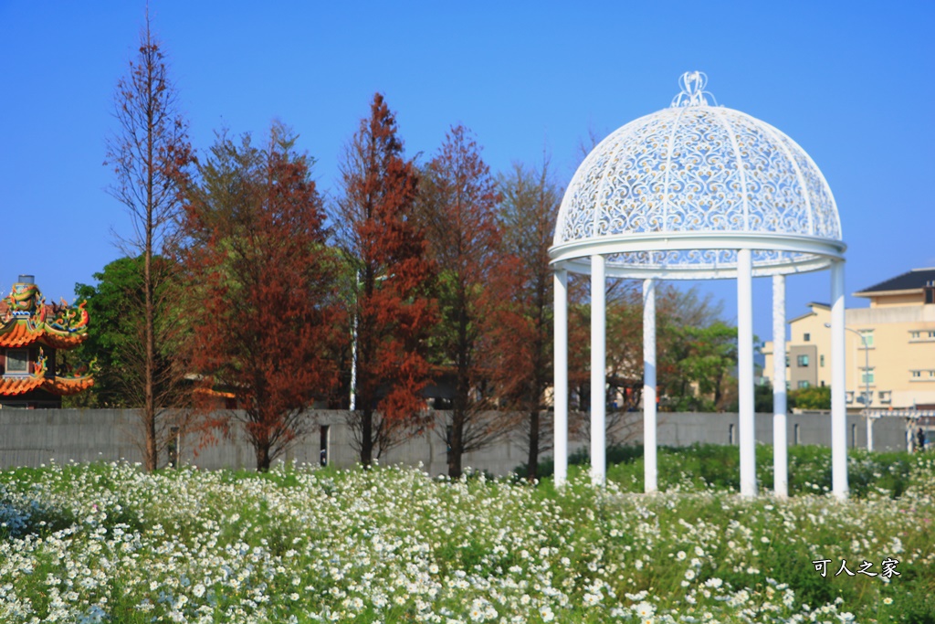 2018蜀葵花,南區公園,彰化一日遊,彰化員林蜀葵花,琉璃仙境收費價格,琉璃仙境改為收費,遊樂設施