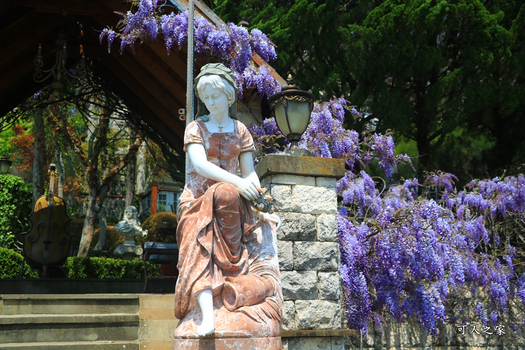 南投清境旅遊,南投紫藤花,清境紫藤花,紫藤花,霞飛音樂城堡