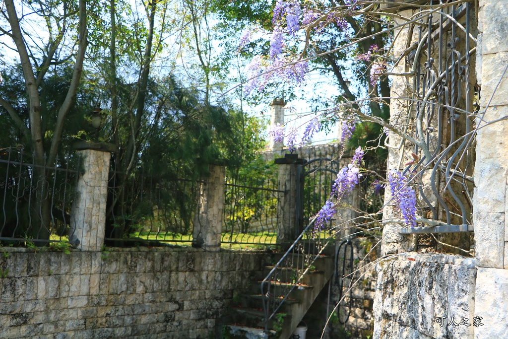 南投清境旅遊,南投紫藤花,清境紫藤花,紫藤花,霞飛音樂城堡