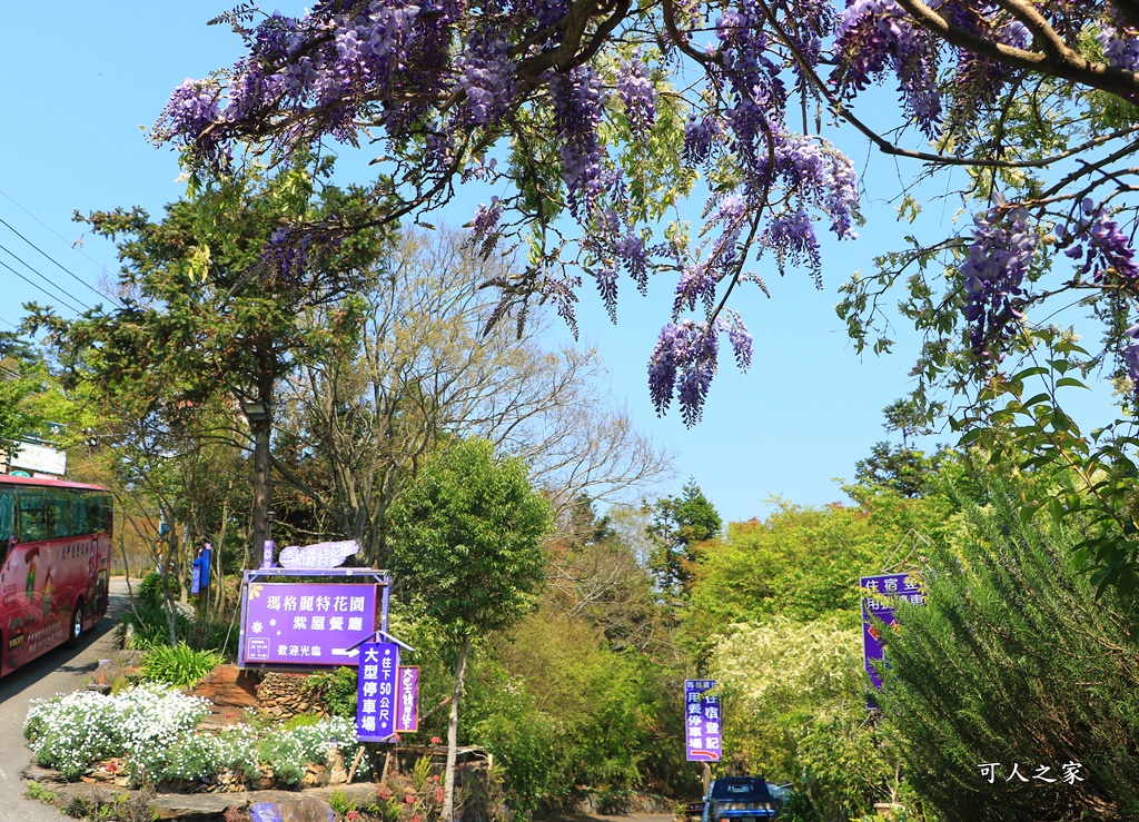 南投清境吃飯,南投清境景點,合菜,清境餐廳推薦,清清套餐火鍋,瑪格麗特紫屋餐廳,賞碧湖,賞紫藤餐廳