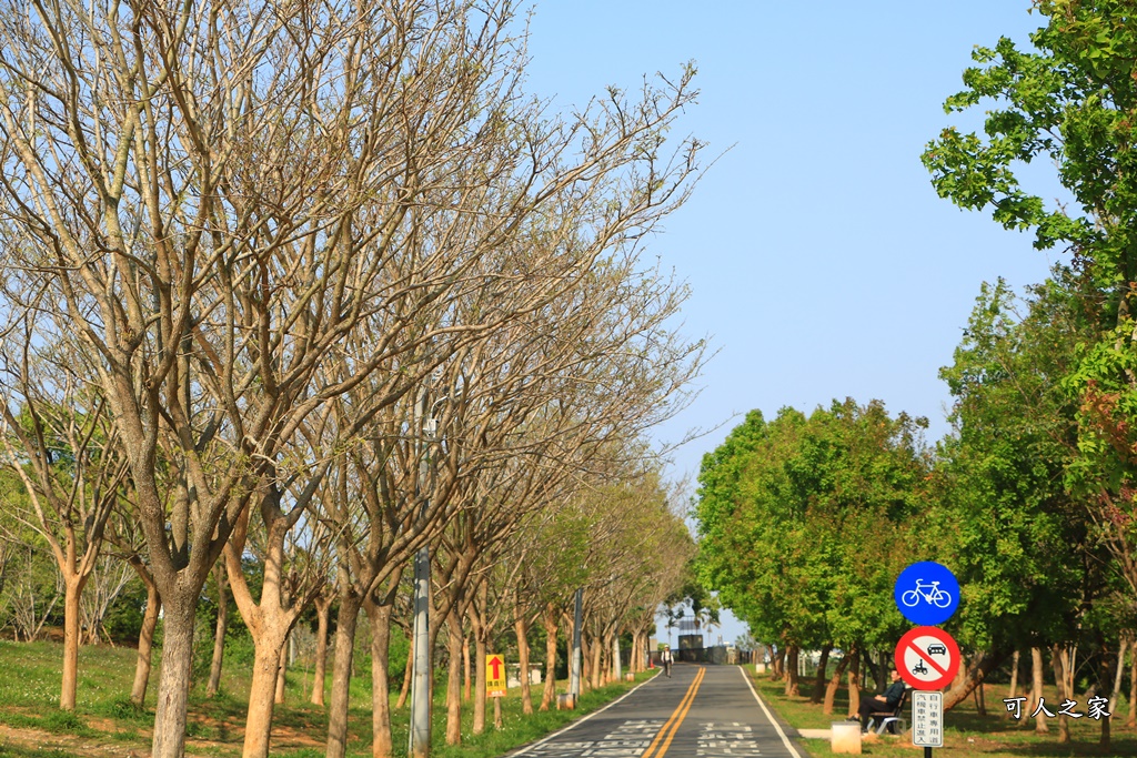 台中大雅一日遊,台中大雅自行車道,台中最長溜滑梯,台中溜滑涕,潭雅神綠園道溜滑梯