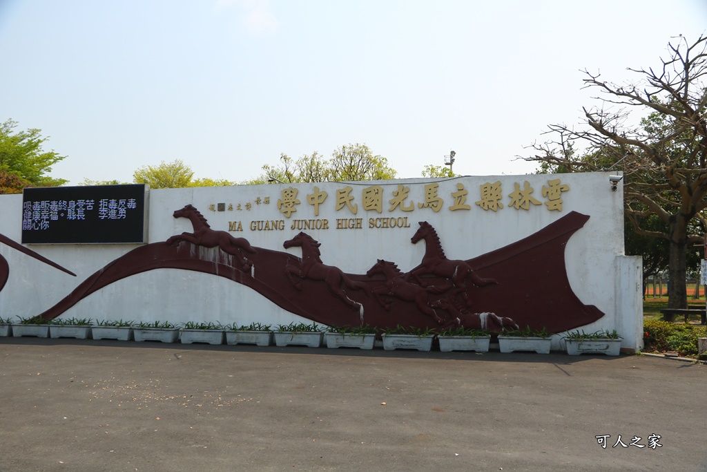 旅遊羊蹄甲,雲林土庫,雲林旅遊何處去,雲林景點一日遊,雲林櫻花綿延2公里,雲林賞花