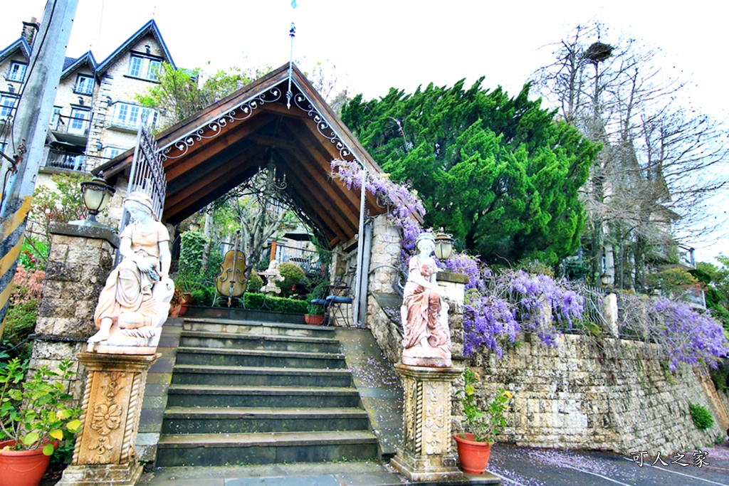 南投清境旅遊,南投紫藤花,清境紫藤花,紫藤花,霞飛音樂城堡