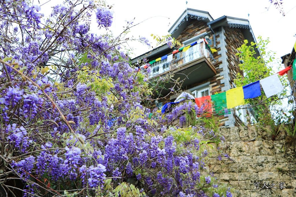 南投清境旅遊,南投紫藤花,清境紫藤花,紫藤花,霞飛音樂城堡