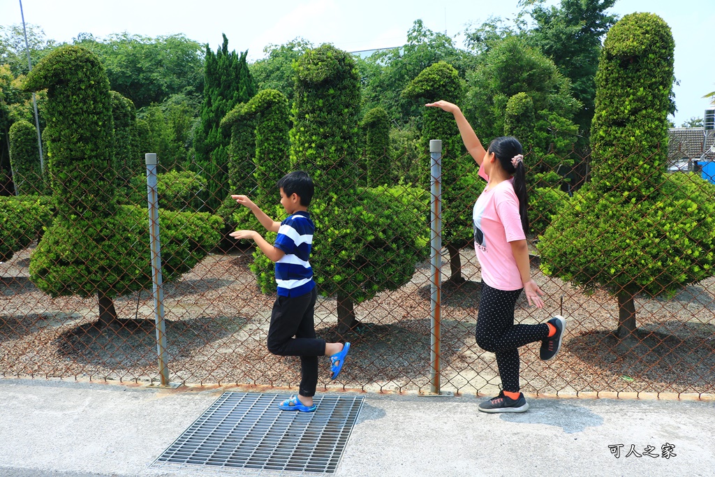 彰化IG熱點,彰化打卡景點,彰化新景點,彰化景點,彰化田尾公路花園