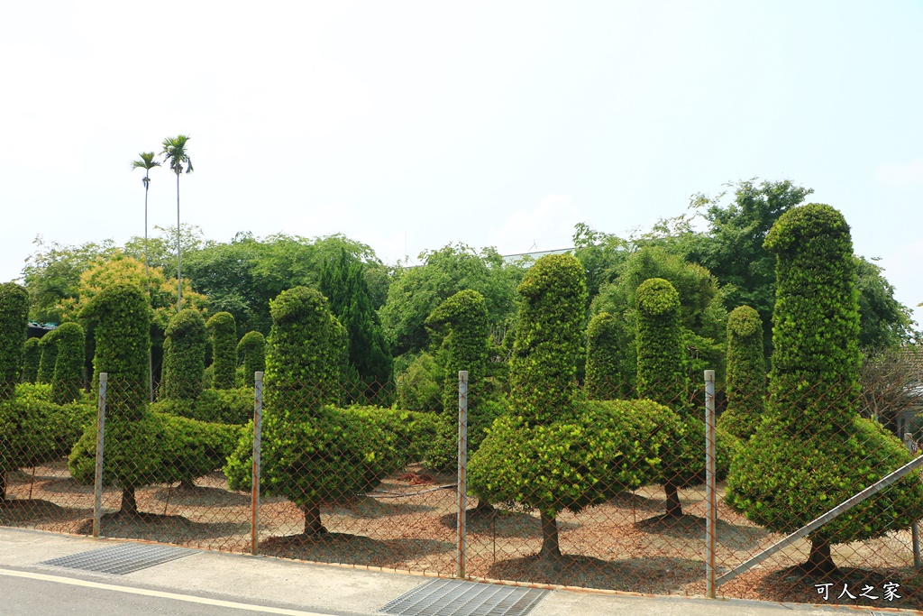 彰化IG熱點,彰化打卡景點,彰化新景點,彰化景點,彰化田尾公路花園