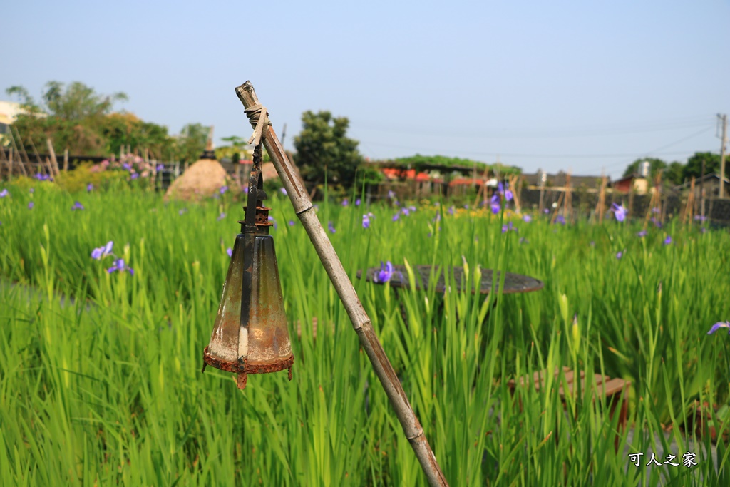 季節限定,彰化景點,彰化田尾,旅人小屋,田尾景點,田尾美食推薦,舒宿,鳶尾花