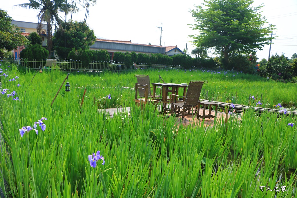 季節限定,彰化景點,彰化田尾,旅人小屋,田尾景點,田尾美食推薦,舒宿,鳶尾花