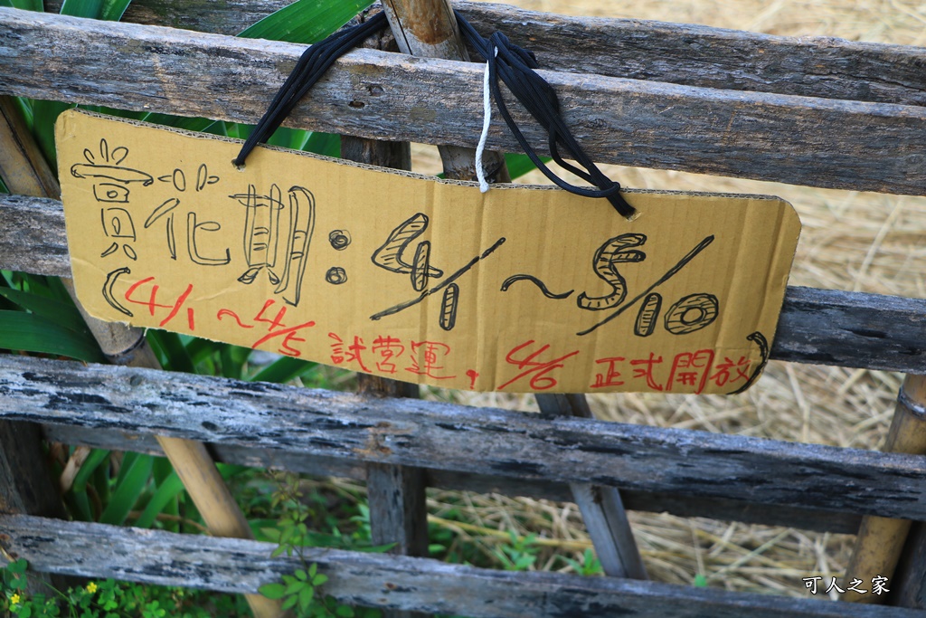 季節限定,彰化景點,彰化田尾,旅人小屋,田尾景點,田尾美食推薦,舒宿,鳶尾花