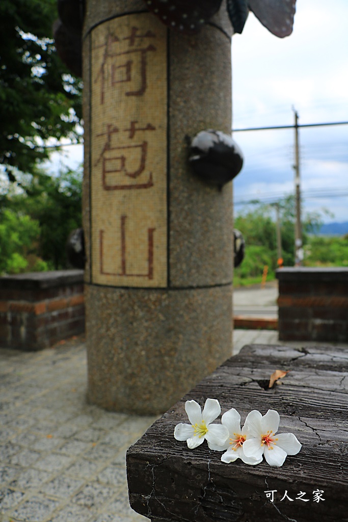 2018荷苞山花況,桐花公園,桐花公園露營區,荷苞山桐花季,賞桐、運動,雲林古坑,雲林賞桐花