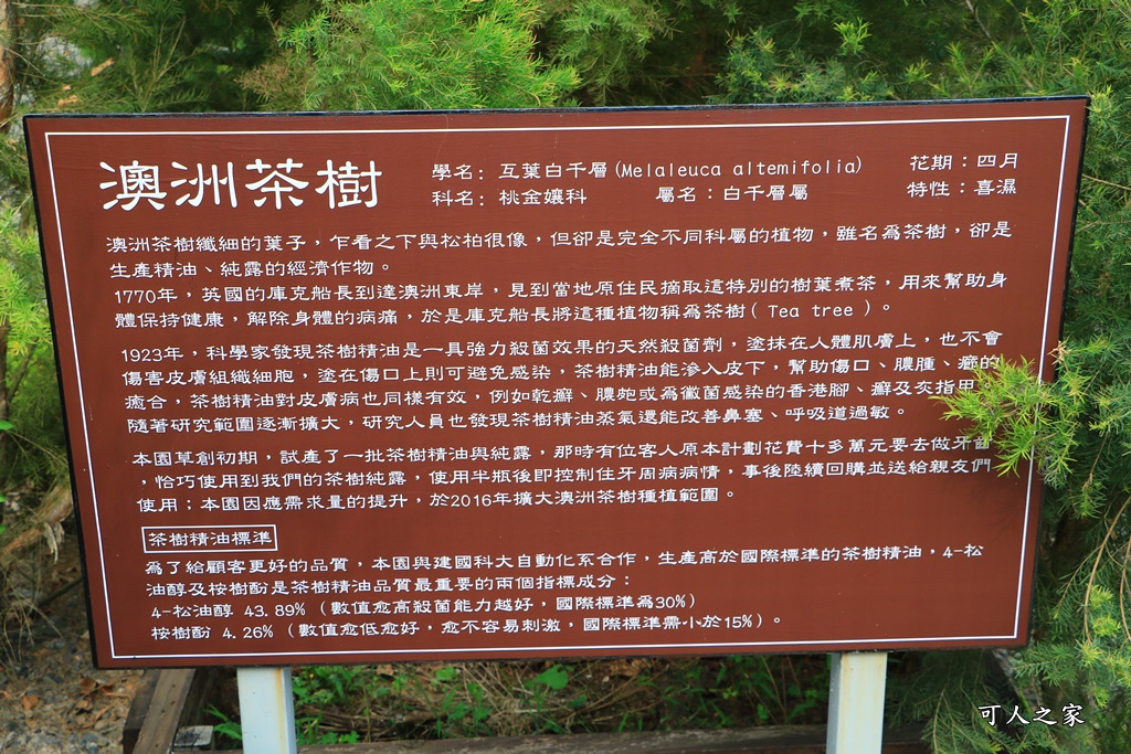 休閒,南投假日限定景點,南投放鬆景點,南投旅遊去,南投景點餐廳,放鬆,餐廳