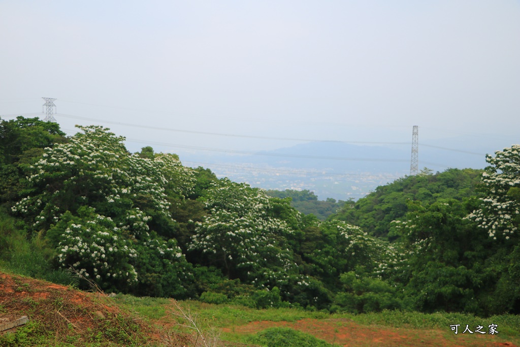 休閒,南投假日限定景點,南投放鬆景點,南投旅遊去,南投景點餐廳,放鬆,餐廳