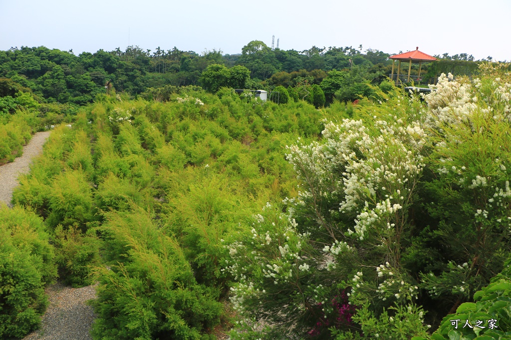 休閒,南投假日限定景點,南投放鬆景點,南投旅遊去,南投景點餐廳,放鬆,餐廳