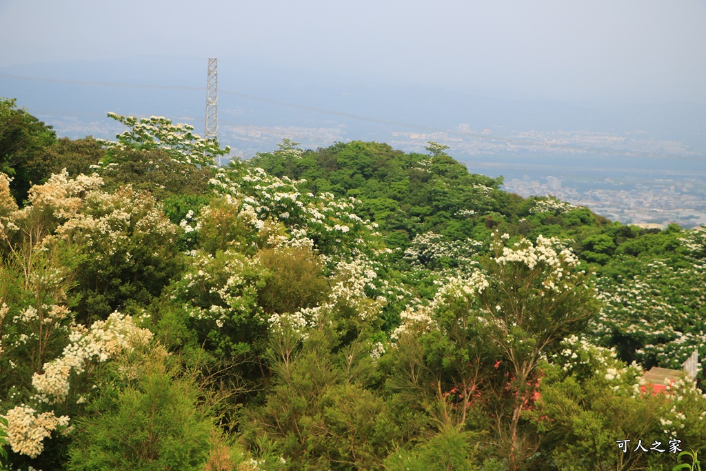 休閒,南投假日限定景點,南投放鬆景點,南投旅遊去,南投景點餐廳,放鬆,餐廳