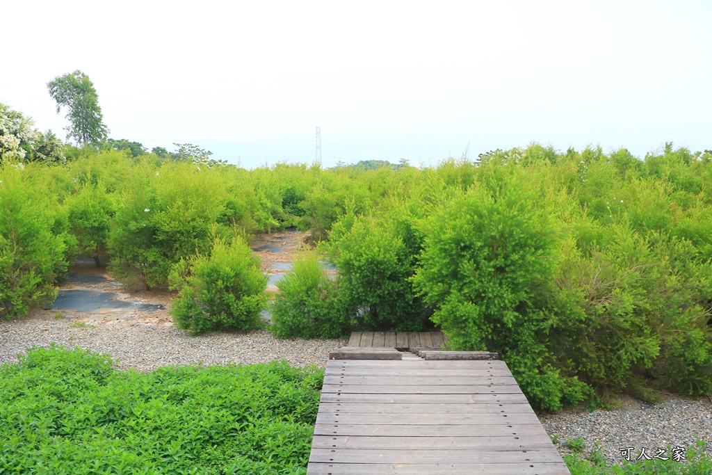 休閒,南投假日限定景點,南投放鬆景點,南投旅遊去,南投景點餐廳,放鬆,餐廳