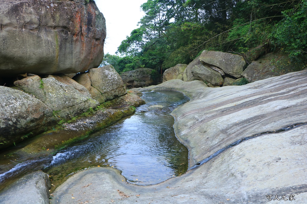 九芎神木,草嶺一日遊,連心池