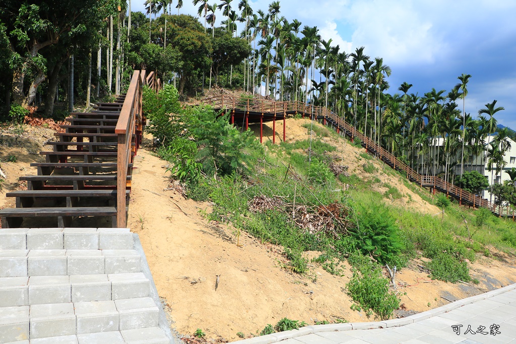 免費景點,嘉義金針花,橫山屏休閒園區,櫻花樹,金針花地址,金針花季,鎮安宮