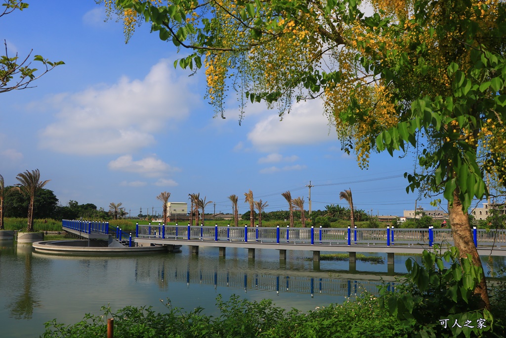 雲林何處去,雲林好玩的,雲林憨吉秘塘,雲林推薦,雲林新亮點,雲林景點,雲林水林,雲林要去一日遊