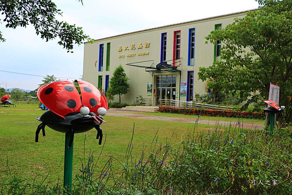 保有類昆蟲模型,咖啡園,嘉大咖啡學園,嘉大昆蟲館,套餐,探索昆蟲世界,旋轉彩蝶柱,簡餐,蝴蝶溫室花園,購票資訊,門票150折低