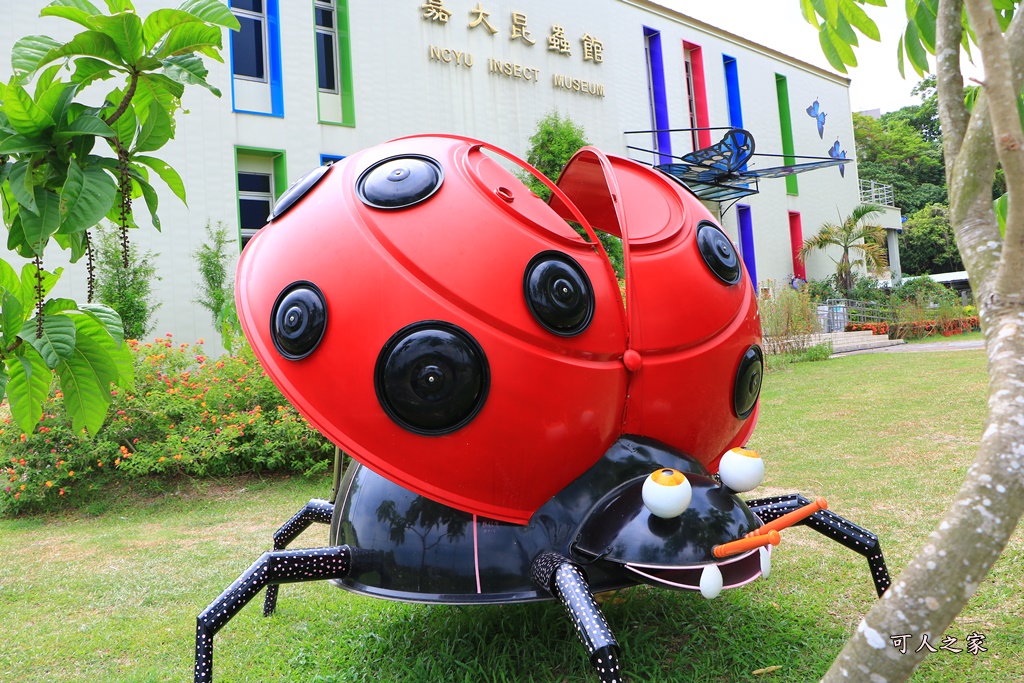 保有類昆蟲模型,咖啡園,嘉大咖啡學園,嘉大昆蟲館,套餐,探索昆蟲世界,旋轉彩蝶柱,簡餐,蝴蝶溫室花園,購票資訊,門票150折低