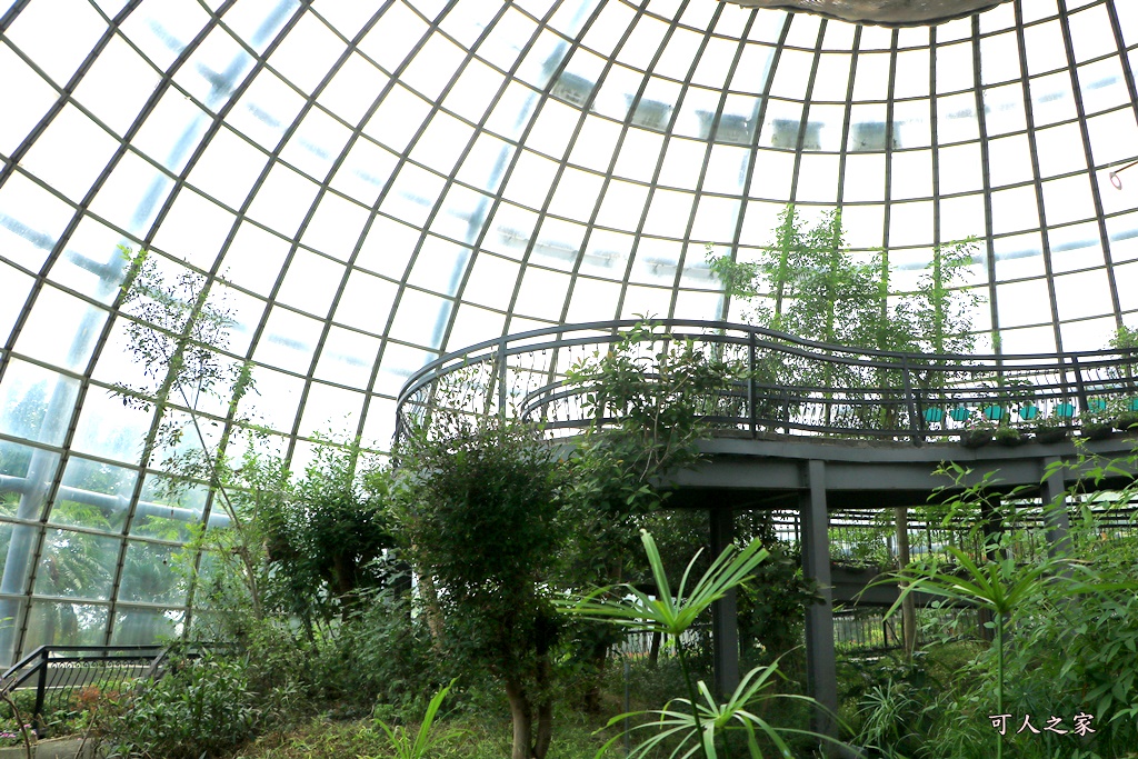 保有類昆蟲模型,咖啡園,嘉大咖啡學園,嘉大昆蟲館,套餐,探索昆蟲世界,旋轉彩蝶柱,簡餐,蝴蝶溫室花園,購票資訊,門票150折低