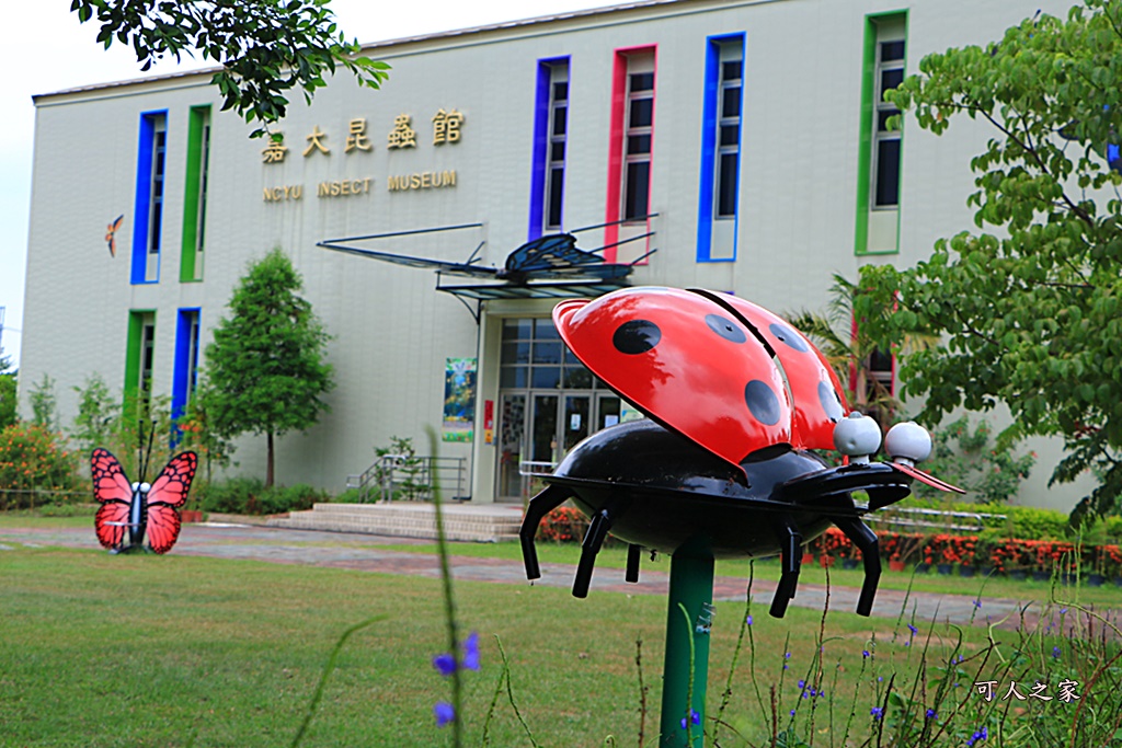 保有類昆蟲模型,咖啡園,嘉大咖啡學園,嘉大昆蟲館,套餐,探索昆蟲世界,旋轉彩蝶柱,簡餐,蝴蝶溫室花園,購票資訊,門票150折低