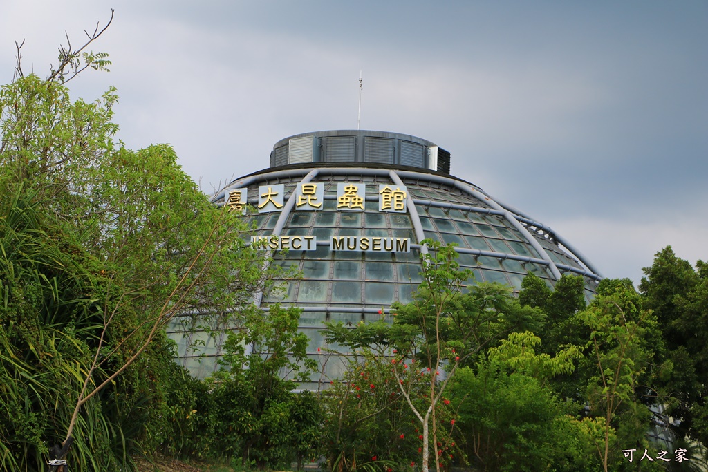 保有類昆蟲模型,咖啡園,嘉大咖啡學園,嘉大昆蟲館,套餐,探索昆蟲世界,旋轉彩蝶柱,簡餐,蝴蝶溫室花園,購票資訊,門票150折低