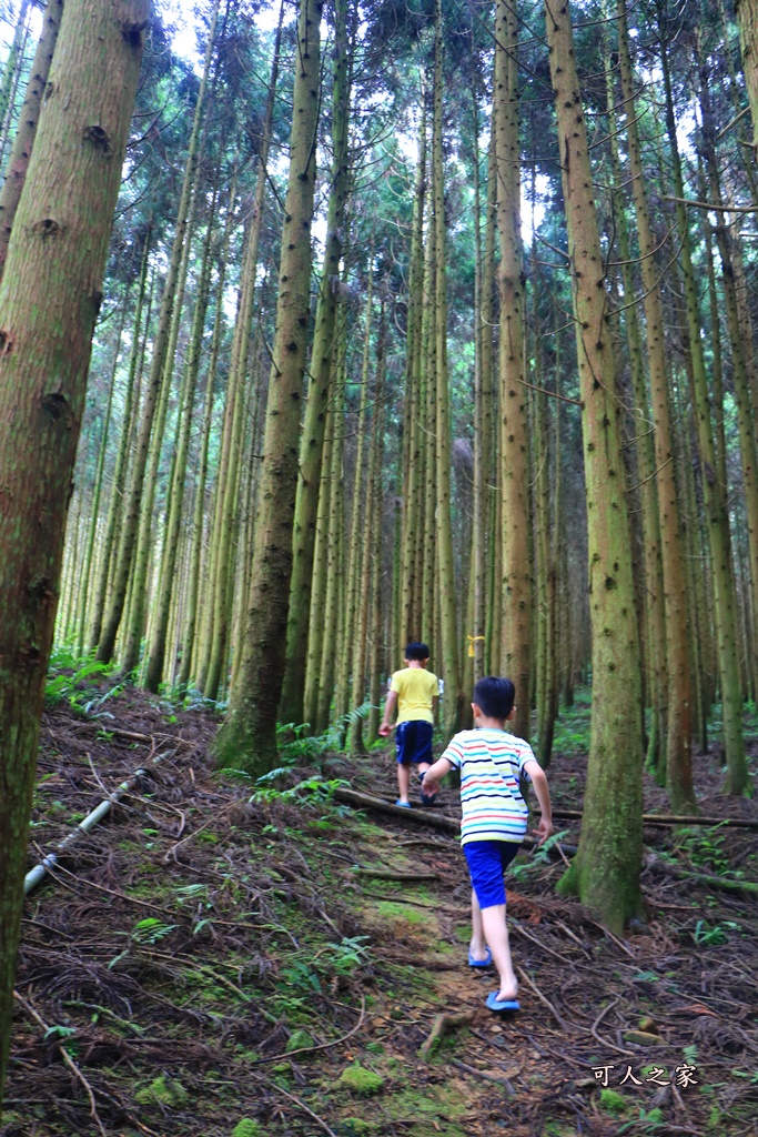 好麻吉私房景點露營區,新竹五峰露營,新竹雲海露營區