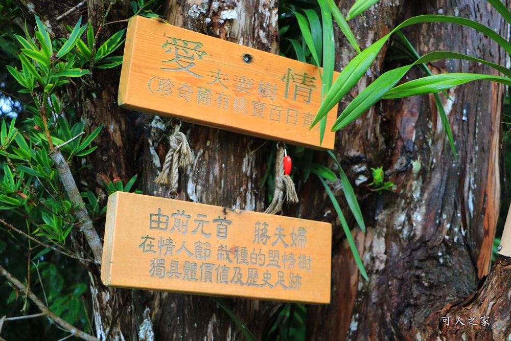 一日遊何處去,南投日月潭周邊景點,日月潭必去景點,日月潭景點,日月潭約會浪漫,水社碼頭,涵碧樓,約會景點日月潭,紅豆鬆糕,耶穌堂,蔣夫人的最愛