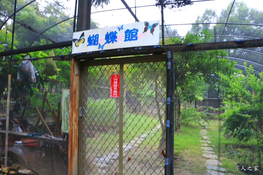 台中溜滑梯公園,台中親子餐,大肚山環保公園,親子公園