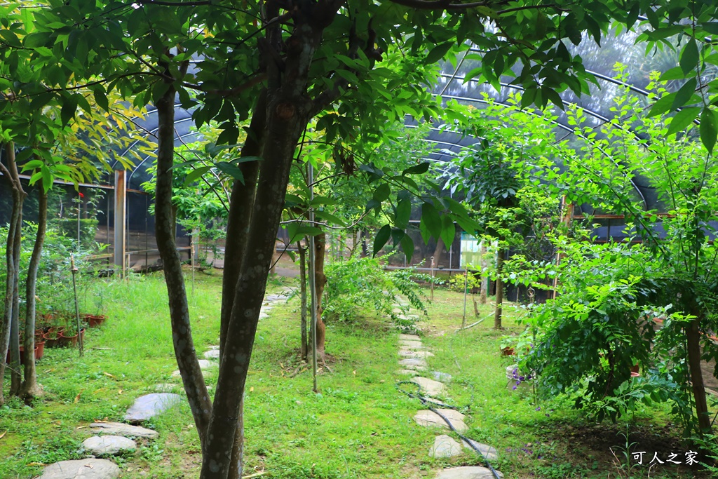 台中溜滑梯公園,台中親子餐,大肚山環保公園,親子公園