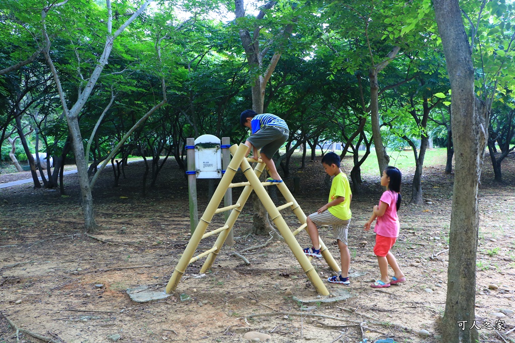 台中溜滑梯公園,台中親子餐,大肚山環保公園,親子公園