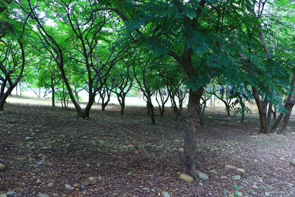 台中溜滑梯公園,台中親子餐,大肚山環保公園,親子公園