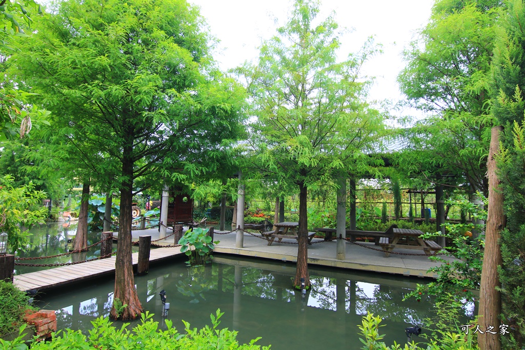 動物針咩咩,台中特色餐廳,台中聚餐,台中落羽松,田寮農莊