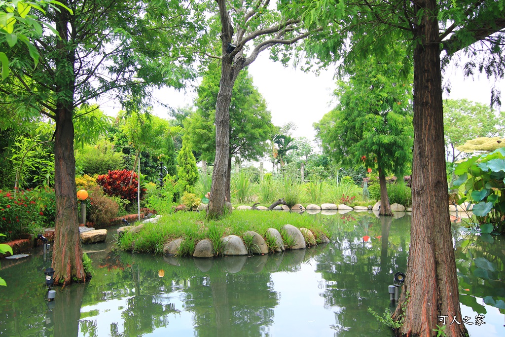 動物針咩咩,台中特色餐廳,台中聚餐,台中落羽松,田寮農莊