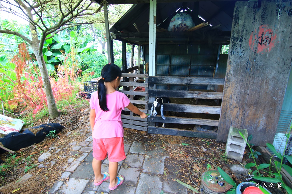 動物針咩咩,台中特色餐廳,台中聚餐,台中落羽松,田寮農莊