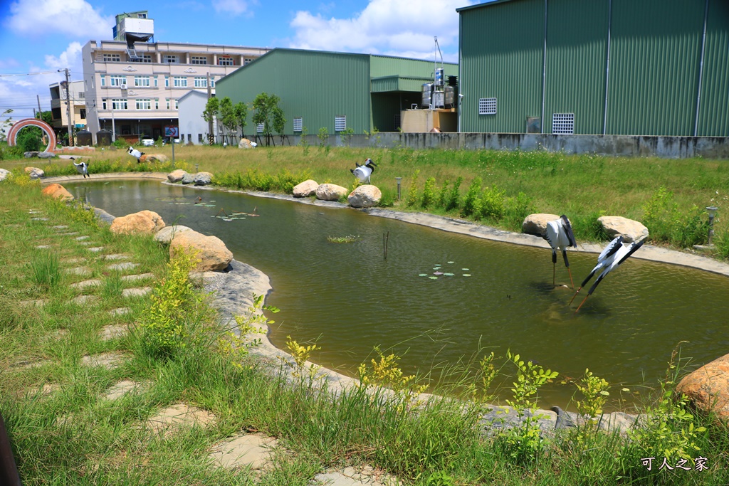 彰化景點,彰化秀水何處去,馬興藥草植物園區,龍騰公園