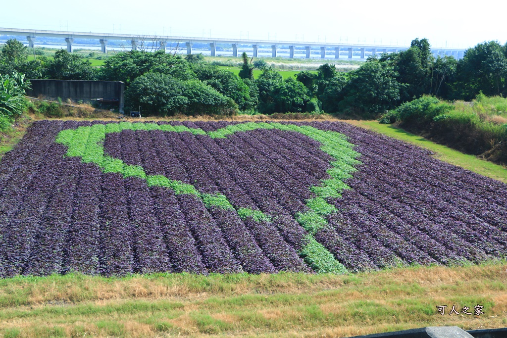 IG熱點,一日遊,伴手禮,免門票,新景點